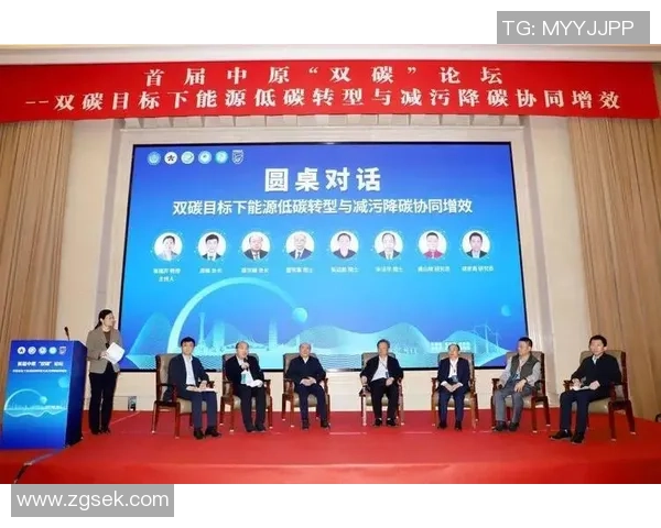 南京乒乓球队转型之路的挑战与机遇深度剖析