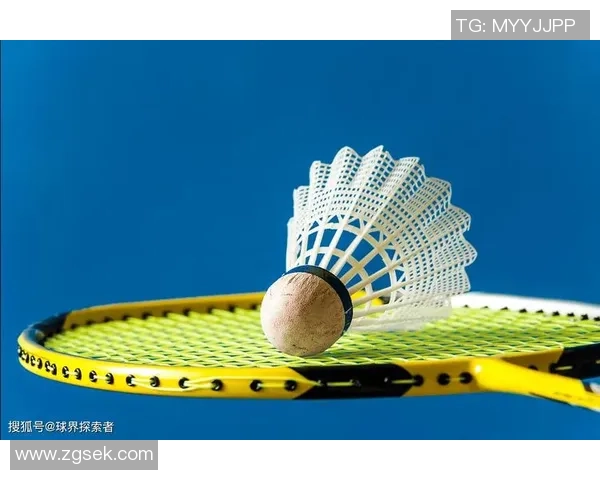 科学羽毛球战术训练方法探究与实战应用技巧分享